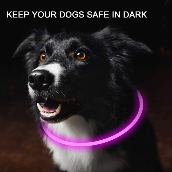 2-Pack LED Dog Collar, Light Up Dog Collars,Rechargeable Dog Lights for Night Walking，Universal, Reusable Safety Necklace for Small Medium Large Dogs RED&Pink - Image 2