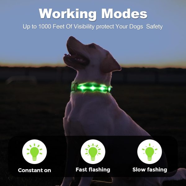 HZK Light Up Dog Collar, LED Glow Collar with USB Rechargeable Lighted Bright, Dog Flashing Collar Waterproof, 4 Colors with 3 Sizes for Small Medium Large Dogs - Green M - Image 2