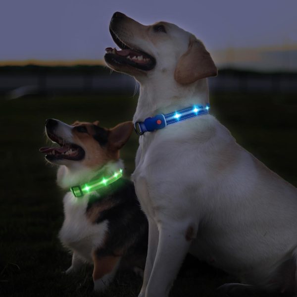 HZK Light Up Dog Collar, LED Glow Collar with USB Rechargeable Lighted Bright, Dog Flashing Collar Waterproof, 4 Colors with 3 Sizes for Small Medium Large Dogs - Green M - Image 7