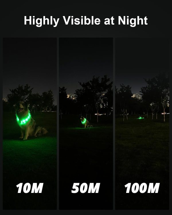 Joytale Light Up Dog Collar, Rainproof LED Dog Collar Rechargeable, 9 Flashing Modes, Glow Collars for Night Walking, Cuttable Soft Silicone Collar for Large Medium Small Dogs, 27.5 Inch - Image 2