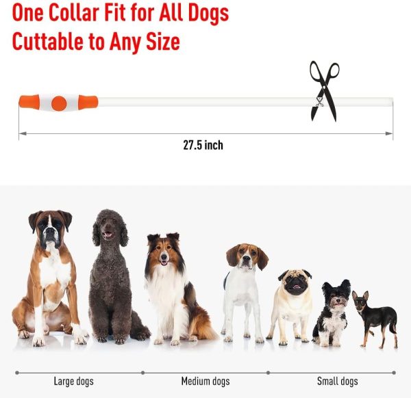 LED Dog Collar, USB Rechargeable Light Up Dog Collars, Glow Safety Basic Dog Collars for Night Walking, Waterproof Collar for Small Medium Large Dogs - Image 4