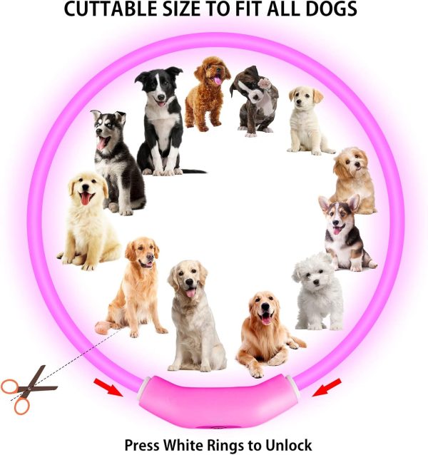 2-Pack LED Dog Collar, Light Up Dog Collars,Rechargeable Dog Lights for Night Walking，Universal, Reusable Safety Necklace for Small Medium Large Dogs RED&Pink - Image 3