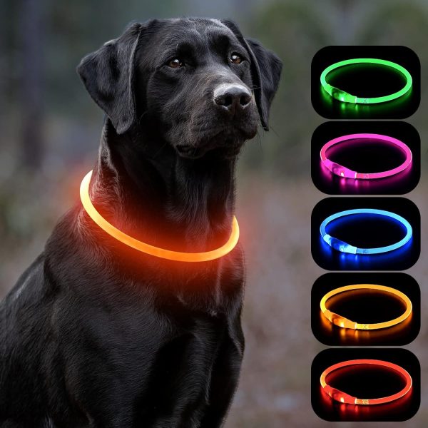 LED Dog Collar, USB Rechargeable Light Up Dog Collars, Glow Safety Basic Dog Collars for Night Walking, Waterproof Collar for Small Medium Large Dogs
