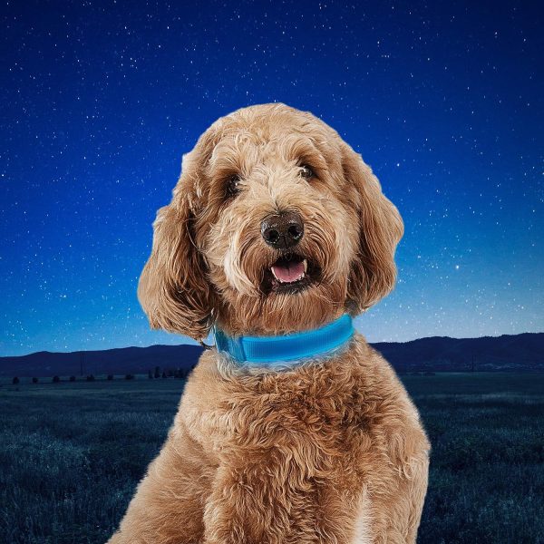 Nite Ize NiteDog Rechargeable LED Collar - Light Up Dog Collar with Durable Metal Buckle - Water-Resistant & Rechargeable Collar - Dog Supplies for Night Activities - Medium, Blue - Image 5