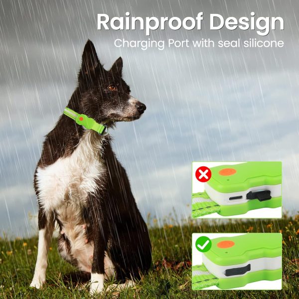HZK Light Up Dog Collar, LED Glow Collar with USB Rechargeable Lighted Bright, Dog Flashing Collar Waterproof, 4 Colors with 3 Sizes for Small Medium Large Dogs - Green M - Image 5