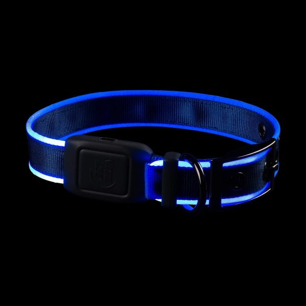 Nite Ize NiteDog Rechargeable LED Collar - Light Up Dog Collar with Durable Metal Buckle - Water-Resistant & Rechargeable Collar - Dog Supplies for Night Activities - Medium, Blue - Image 4